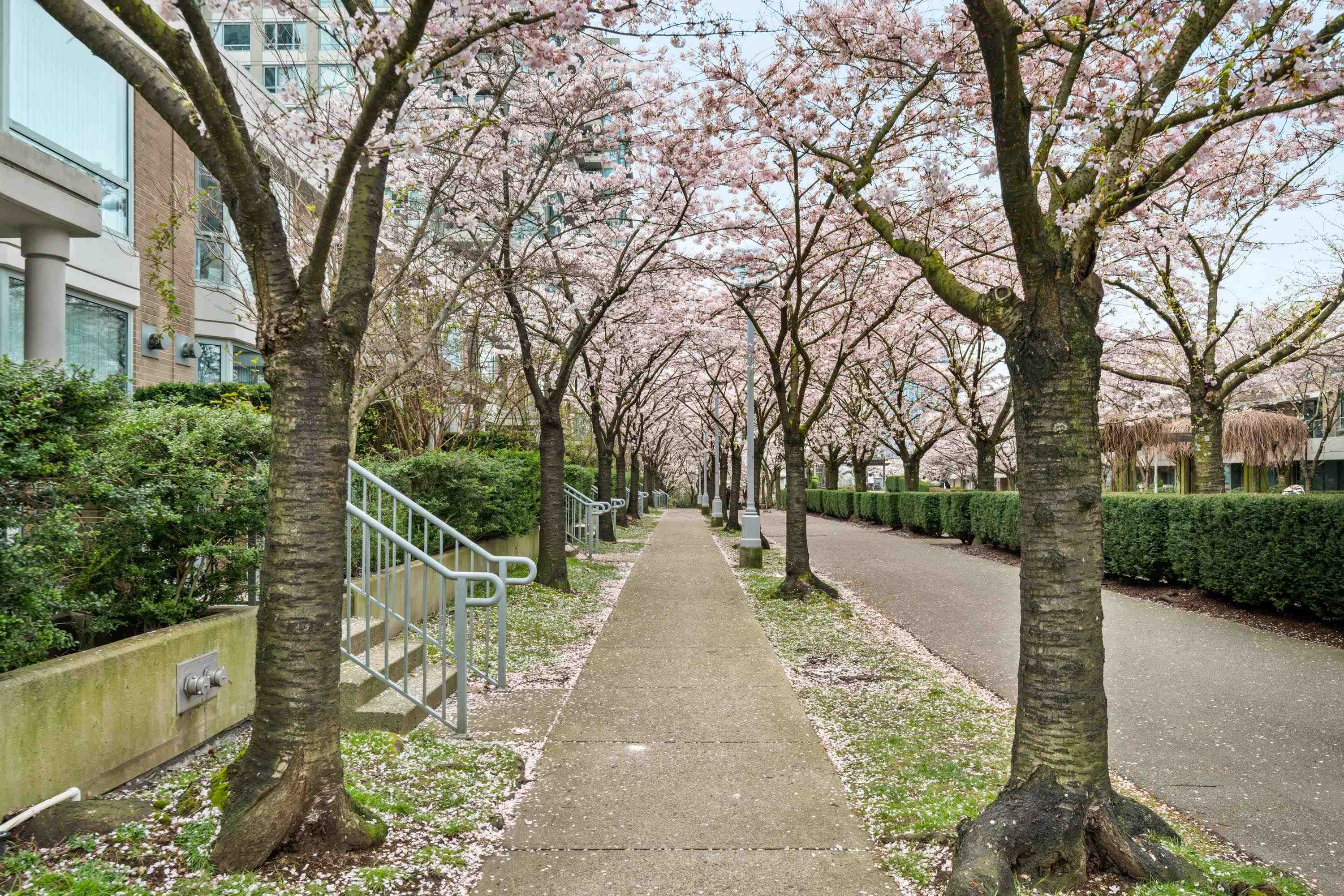 1889 Rosser Avenue TH4