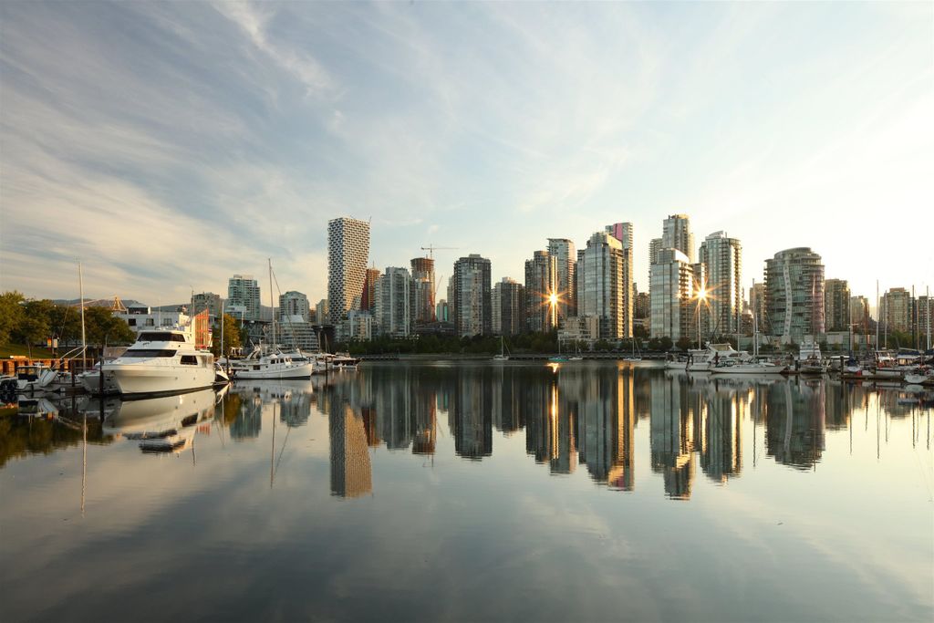 listing image 1100920254673589253