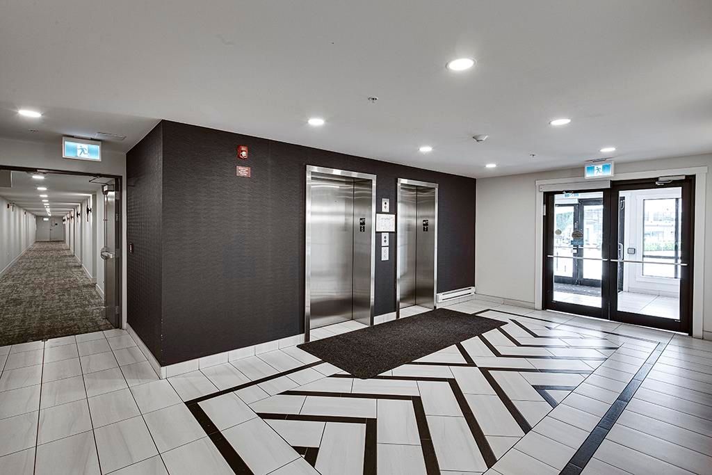 listing image 1102020986247462577