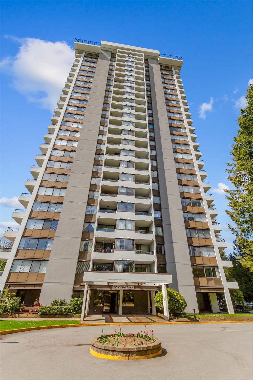 listing image 1102927513014934607