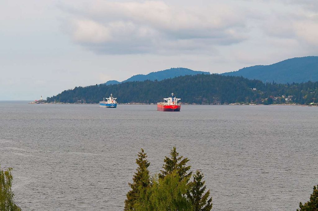 listing image 1102637454891954806