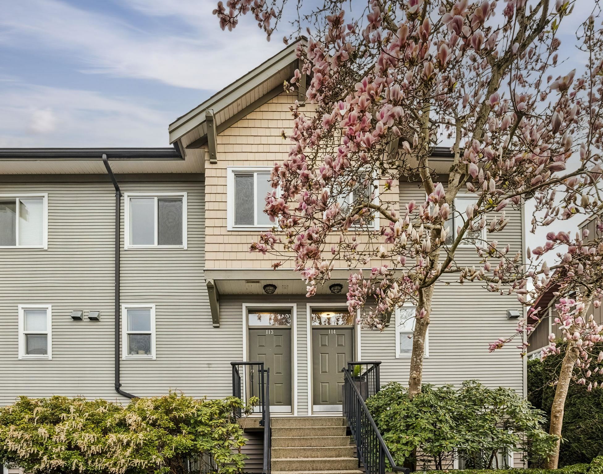 4238 Albert Street 113