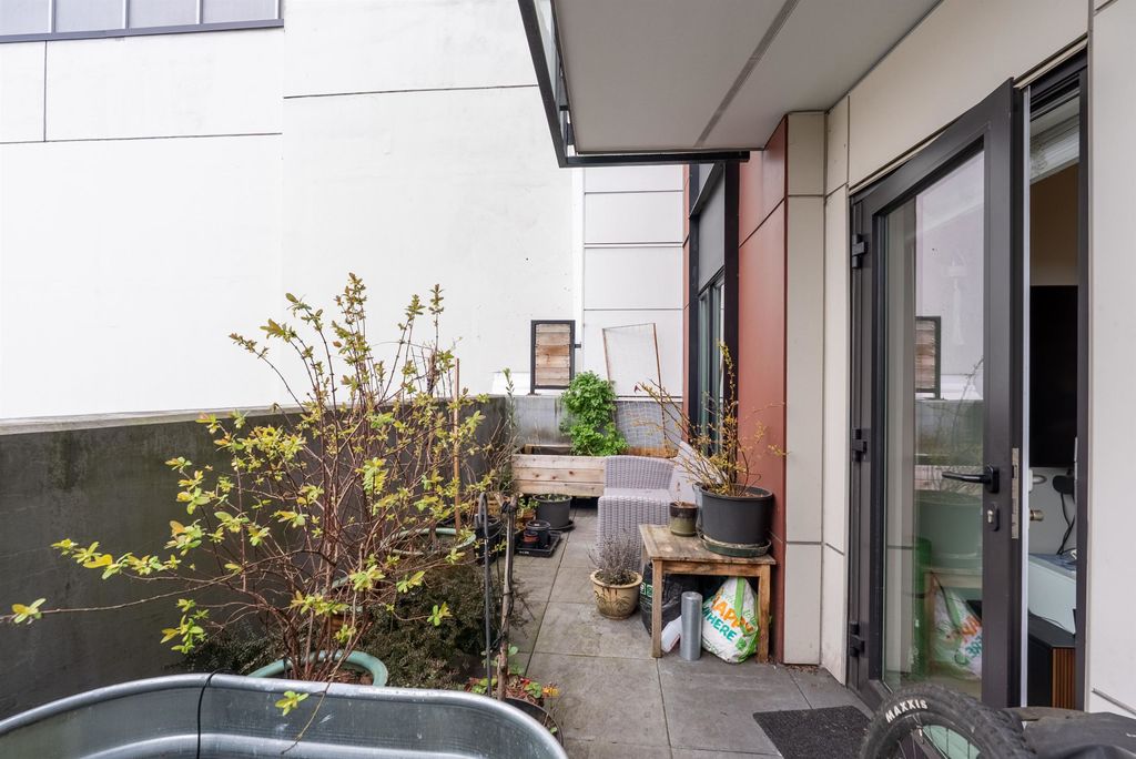 listing image 1106456878051369585