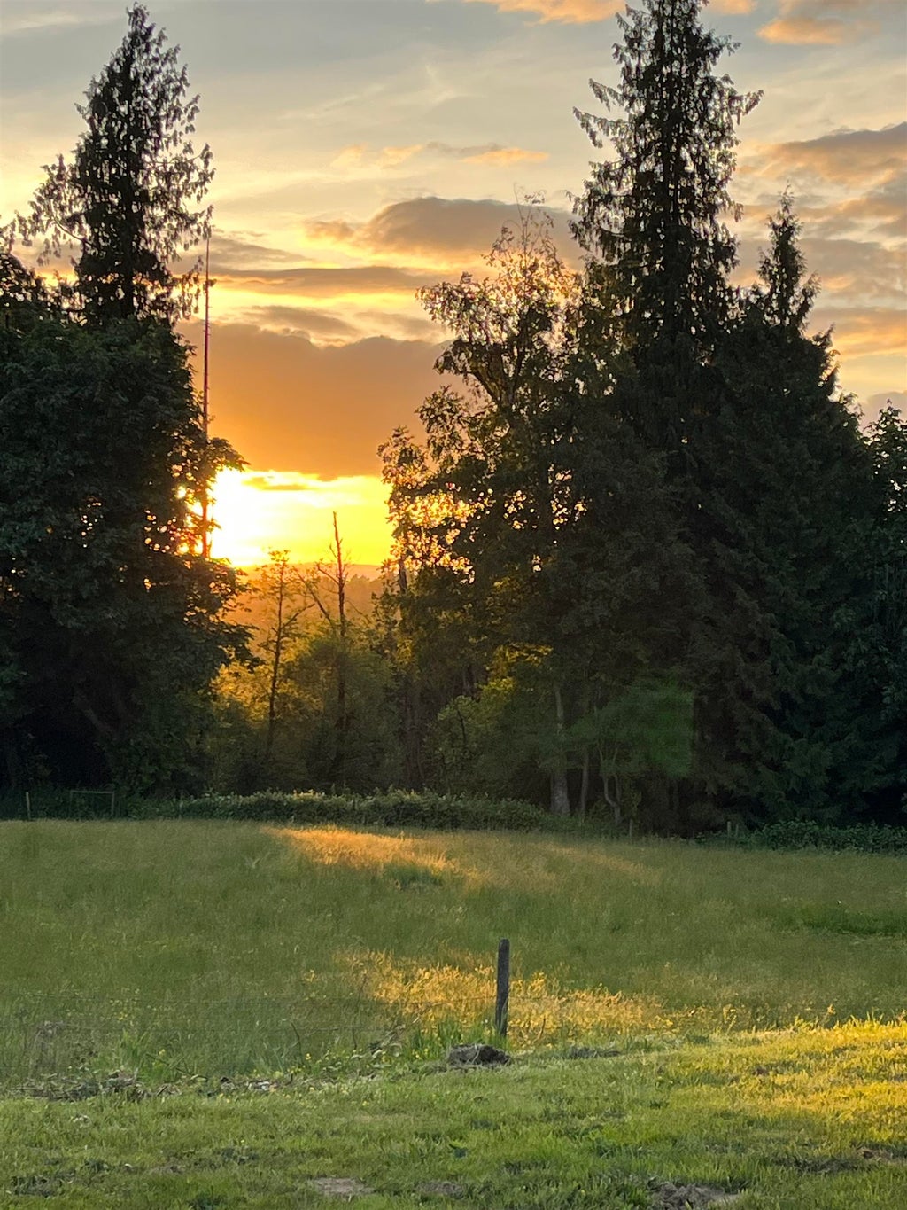 Photo of 4393 Townline Road, Abbotsford, BC V4X 1Y7 (MLS # R3124578)