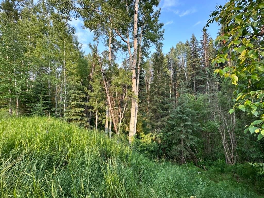listing image 1105669105740080489