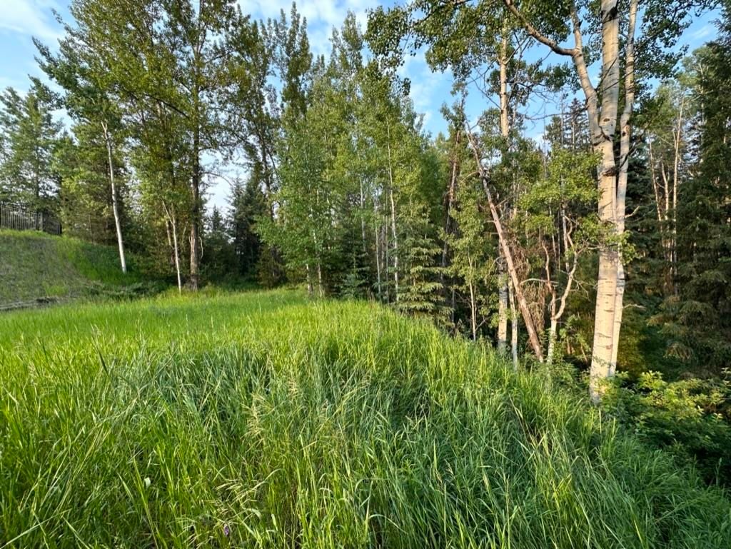 listing image 1106195351208193124