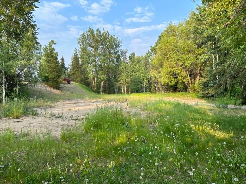 listing image 1100505234013340681