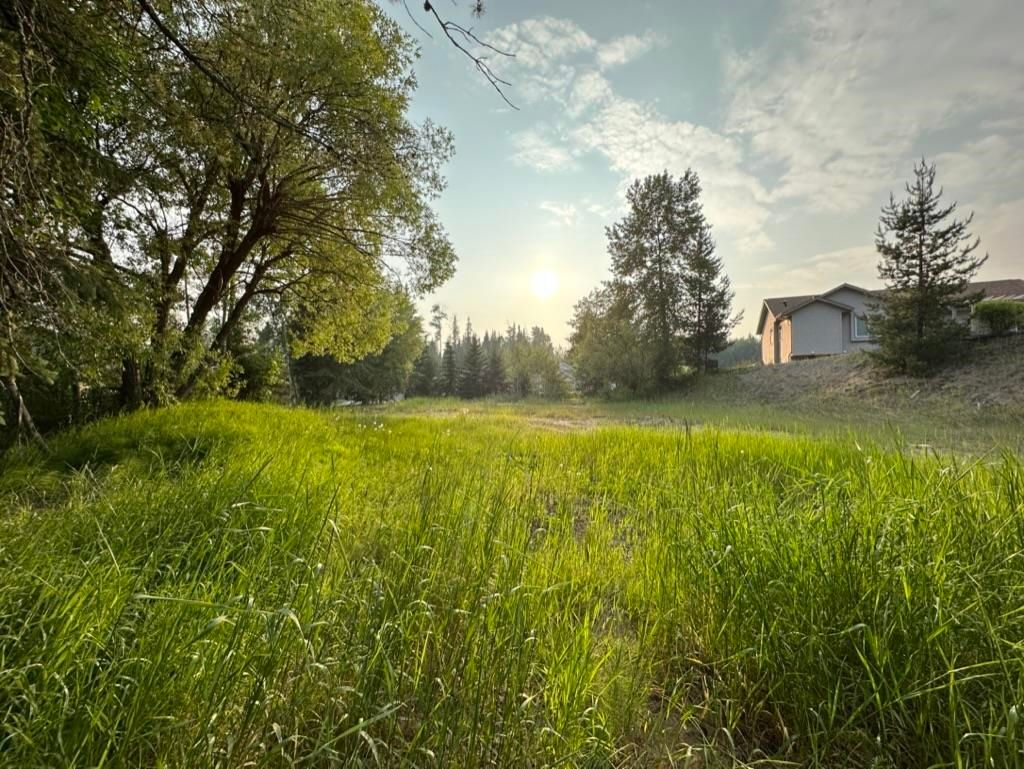 listing image 1102054374928215901