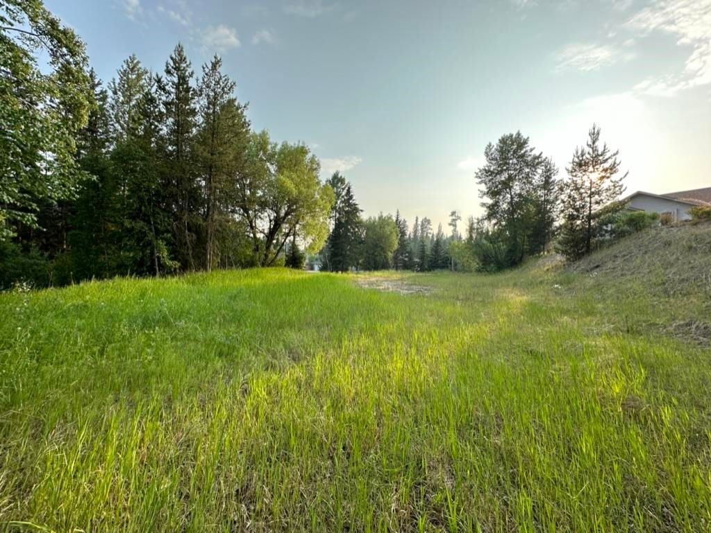 listing image 1108468335809739631