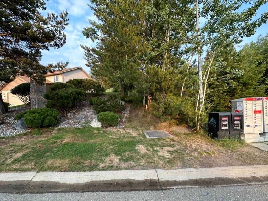 listing image 1105154784208178178