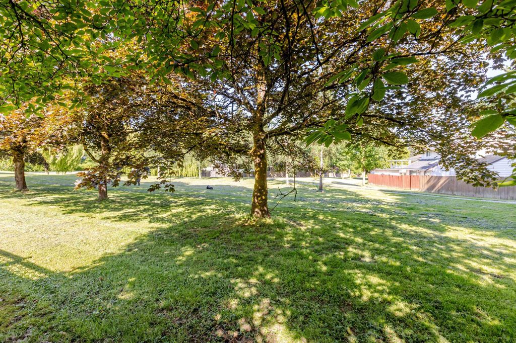 listing image 1105270781811431365