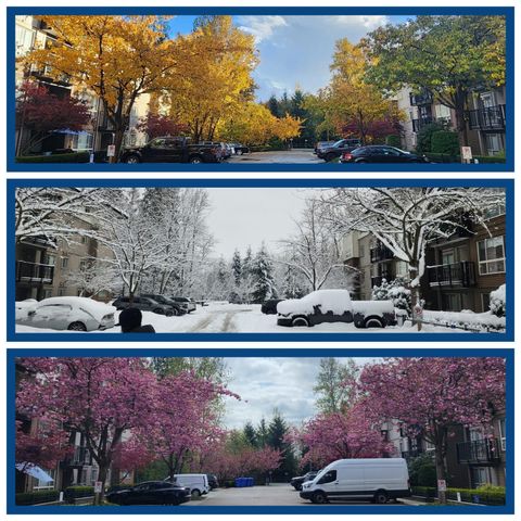 11665 Haney Bypass 101 Maple Ridge BC V2X 8W9