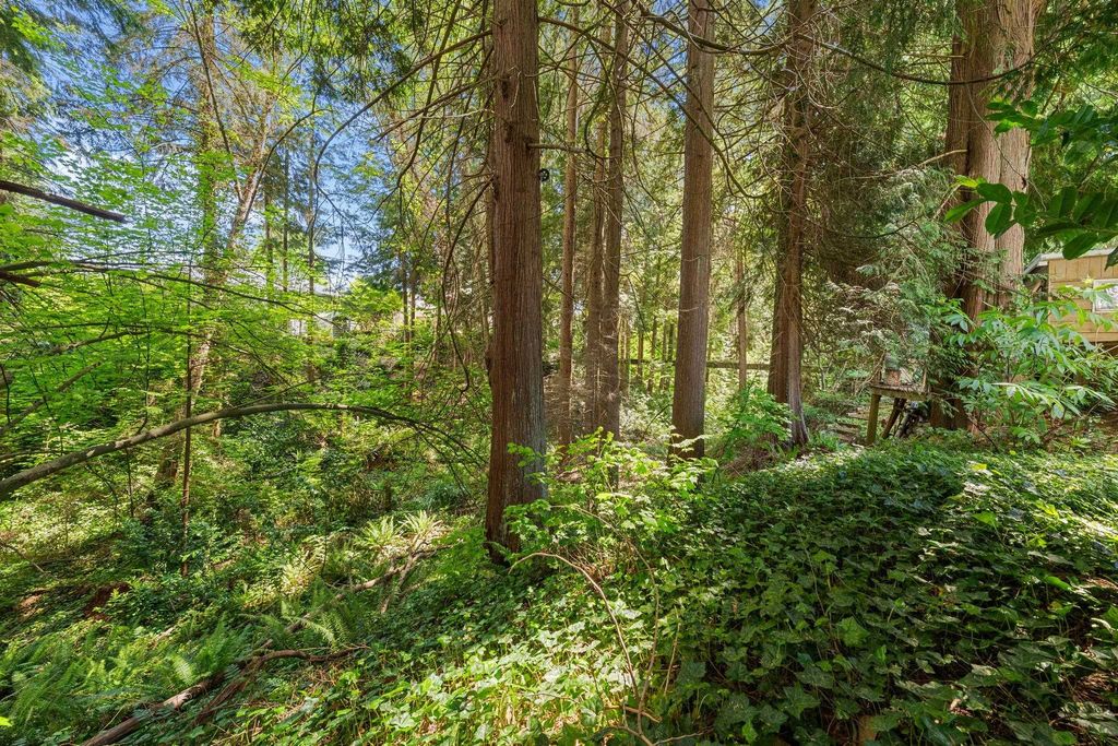 listing image 1107157371760423811