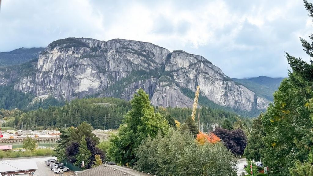 listing image 1109144631299386559