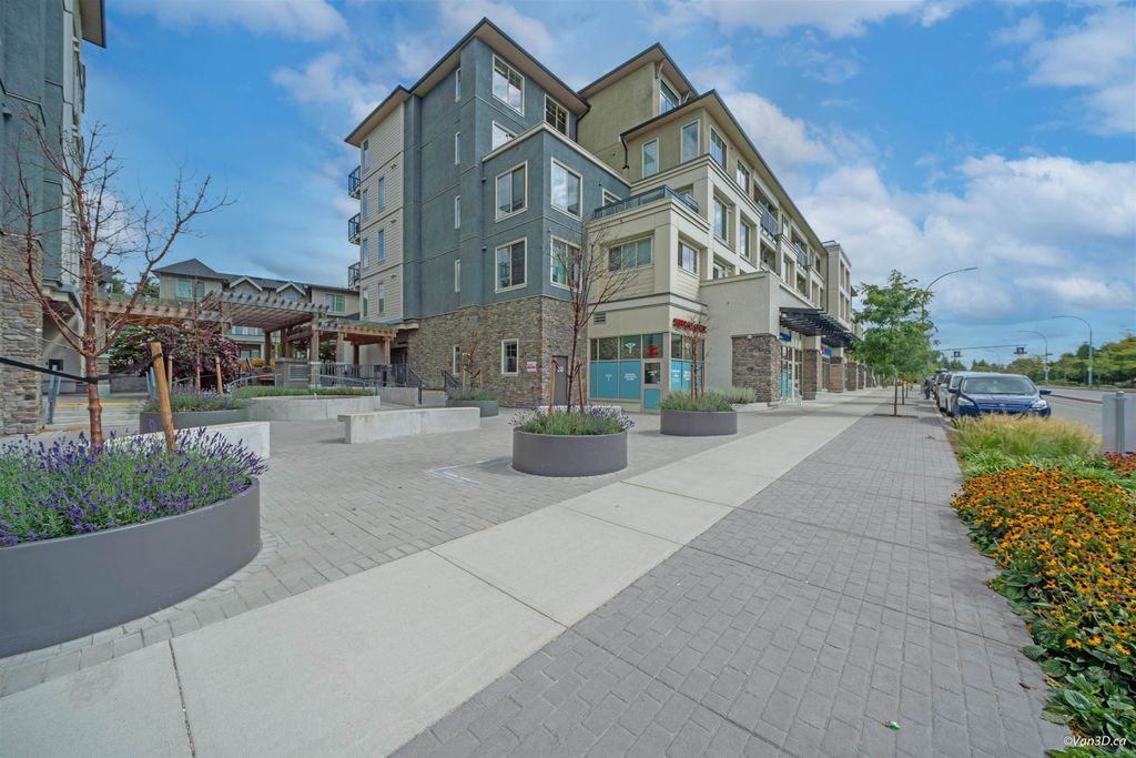 listing image 1101497211217807243