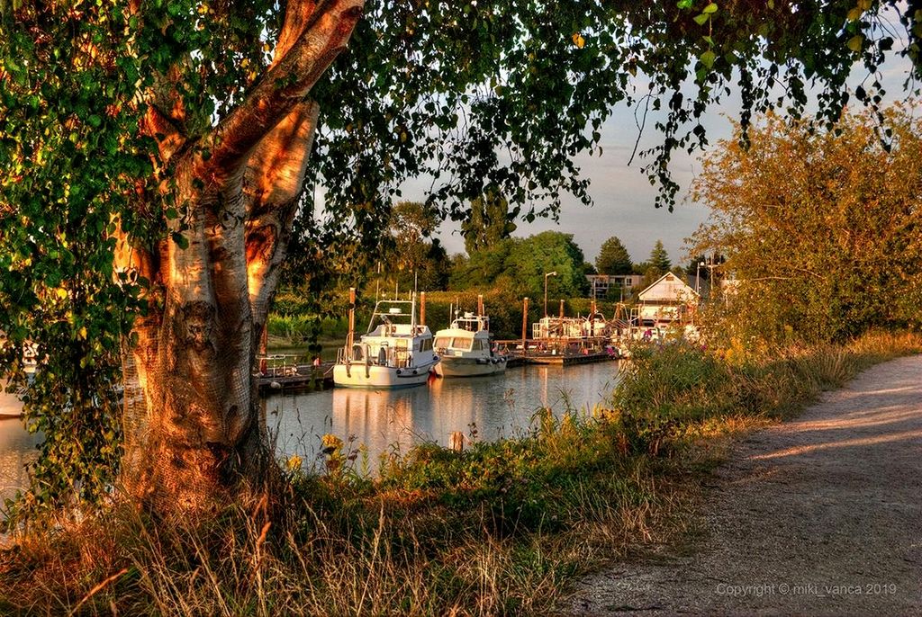 listing image 1102125511871230550