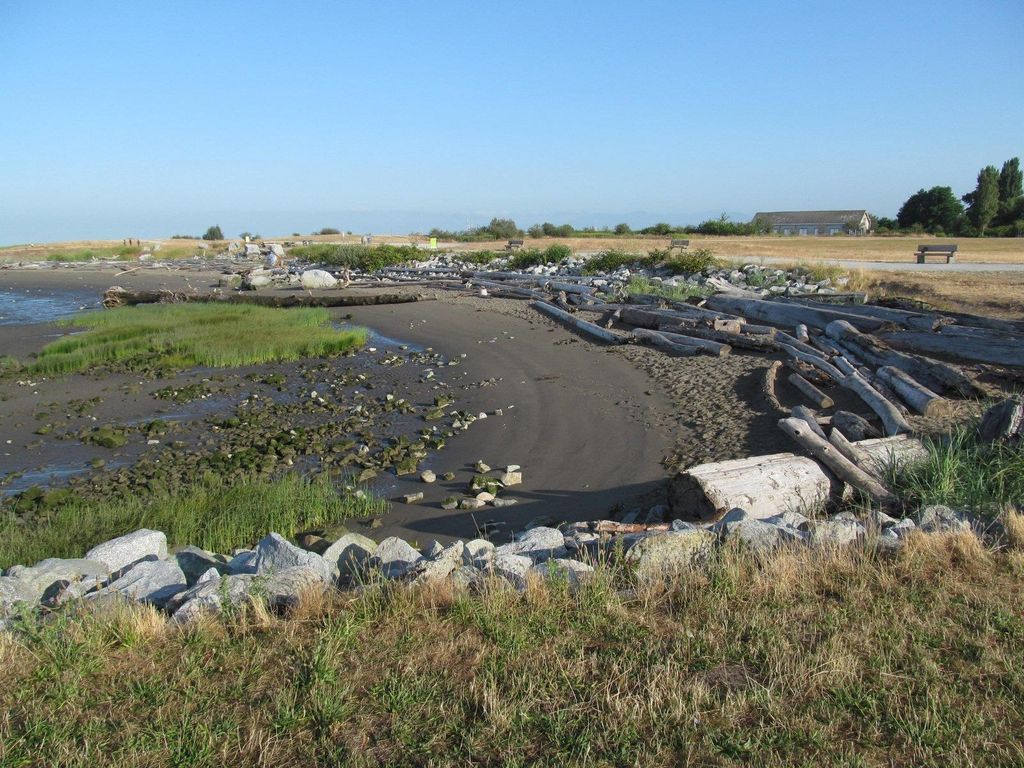 listing image 1106080292370250207