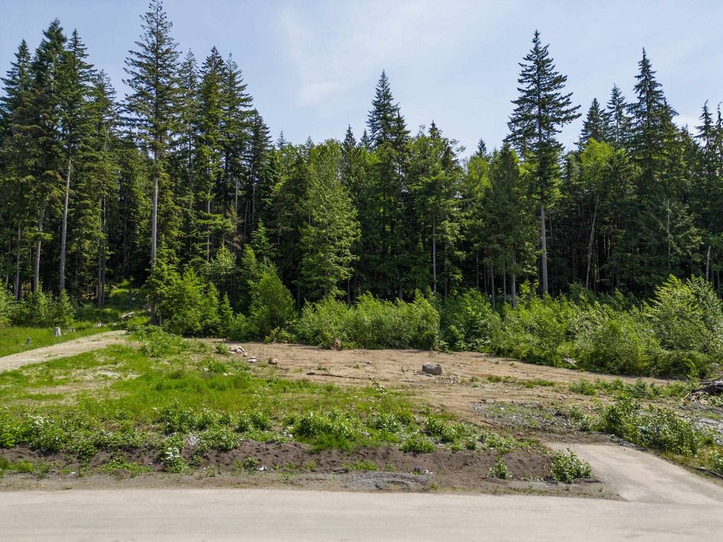 Photo of 12582 271 Street, Maple Ridge, BC V2W 1C2 (MLS # R3135683)