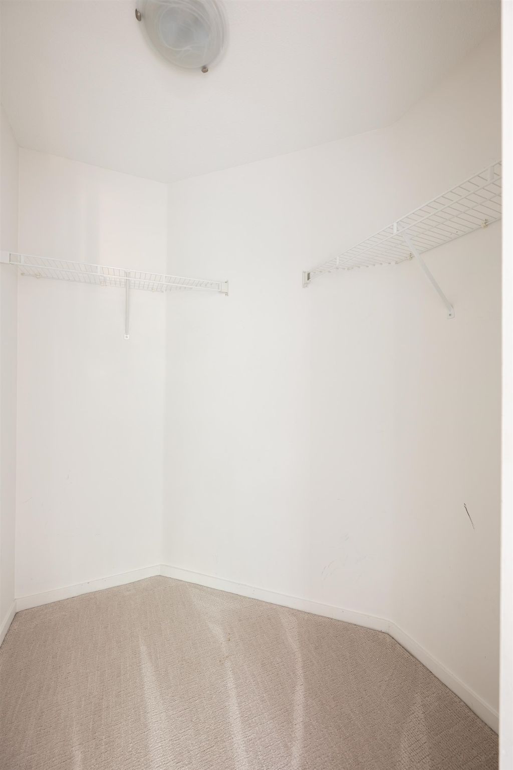 listing image 1109805658296441233