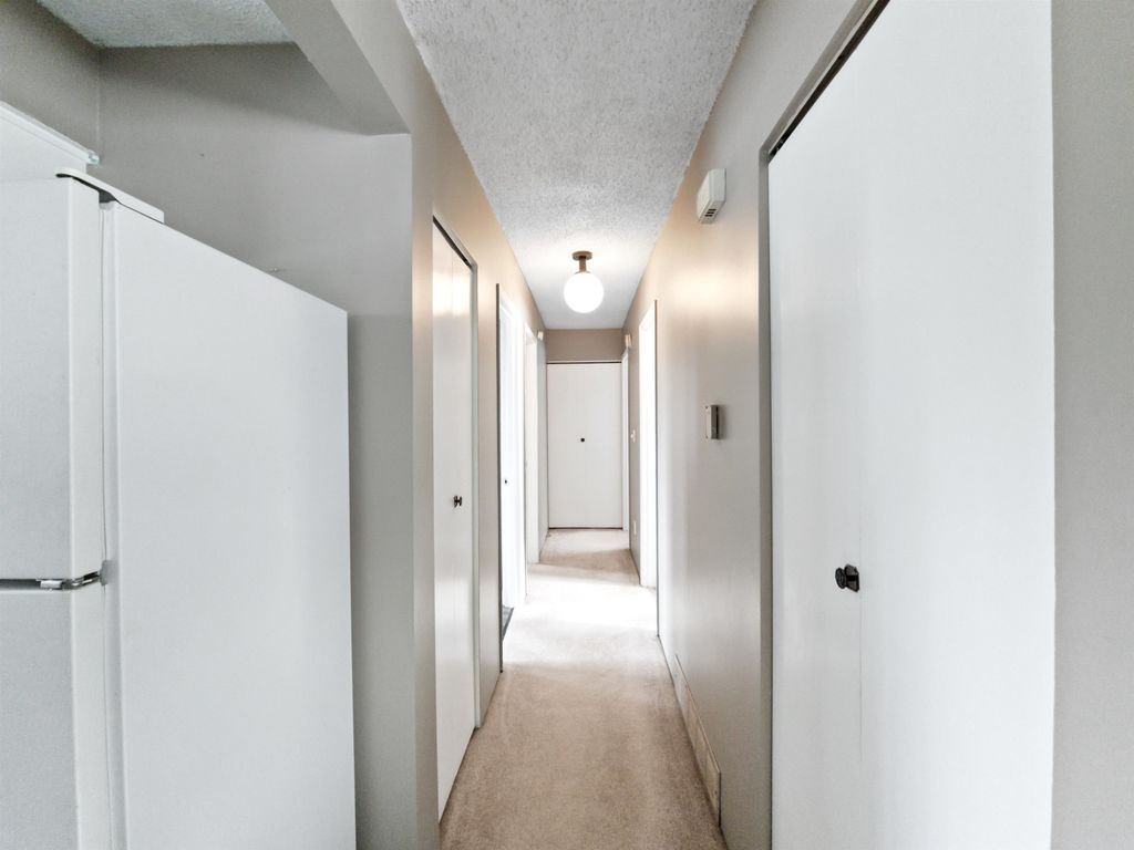 listing image 1107928809137546470