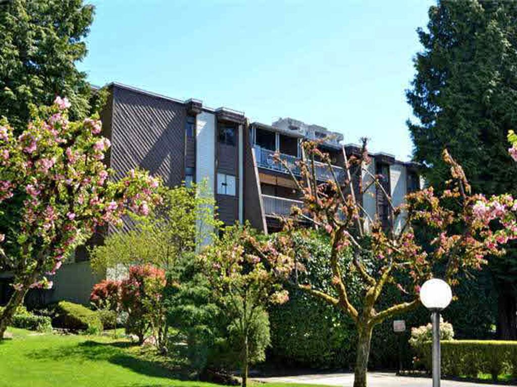 listing image 1100754230832683014