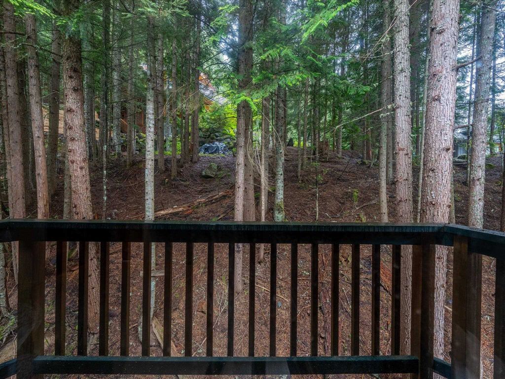 listing image 1105721445922127508