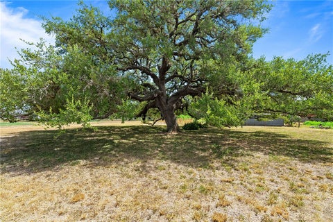 Tiny photo for 555 Silver Creek, Sinton, TX 78387 (MLS # 482283)