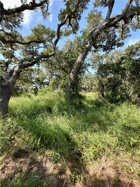 Tiny photo for 2467 Sawyer Lane, Aransas Pass, TX 78336 (MLS # 481862)