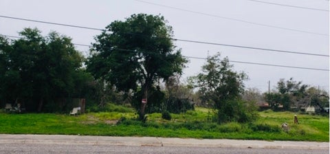 Tiny photo for 1503 E Santa Gertrudis Street, Kingsville, TX 78363 (MLS # 482284)