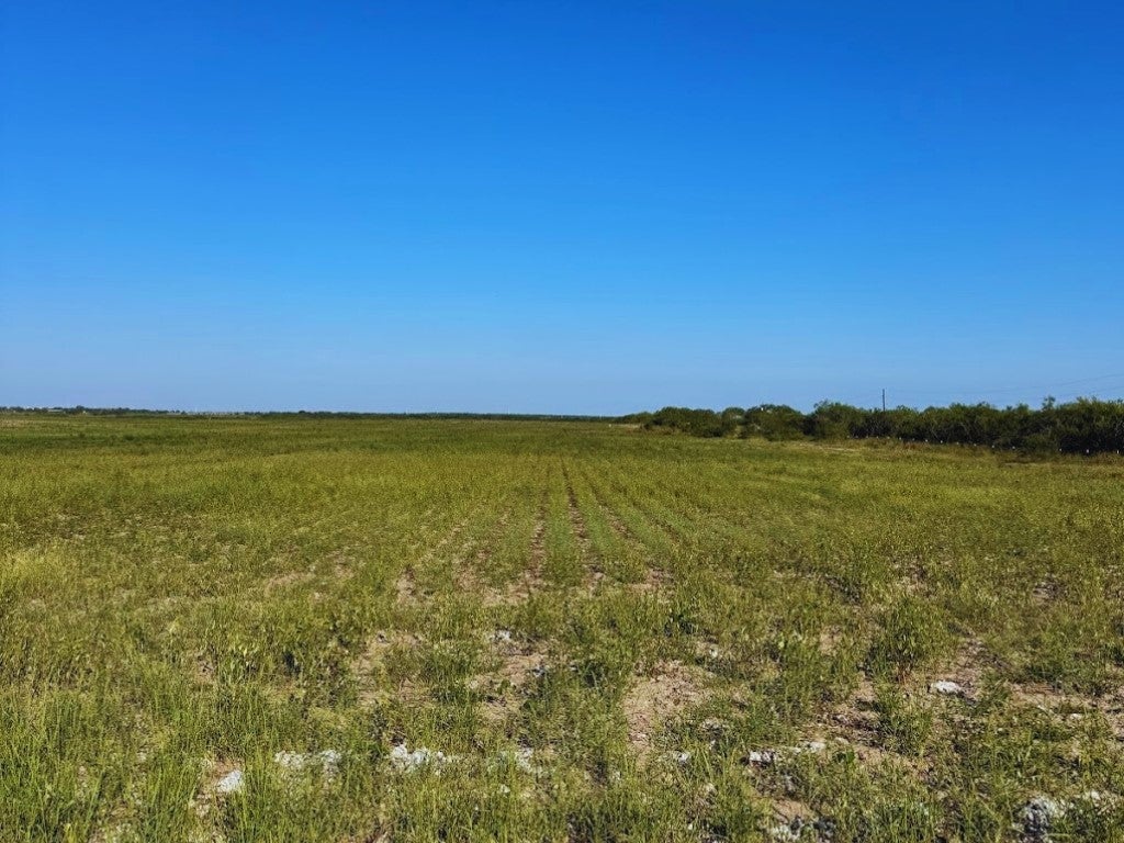 TBD County Rd 1070