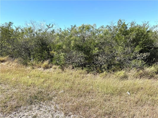 2752 HWY 359, BENAVIDES, TX 78341 - Image 5e455669c52e5b45ecd940bf7e0c2823/968063580