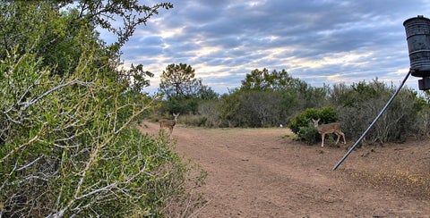 Tiny photo for TBA DUVAL, San Diego, TX 78384 (MLS # 482295)
