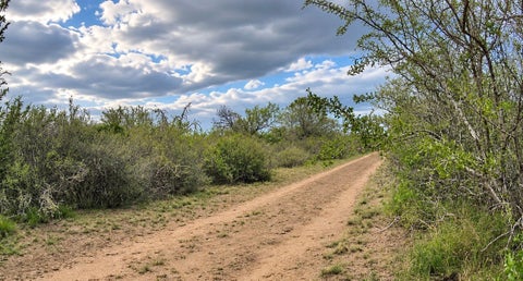 Photo of TBA DUVAL, San Diego, TX 78384 (MLS # 482295)