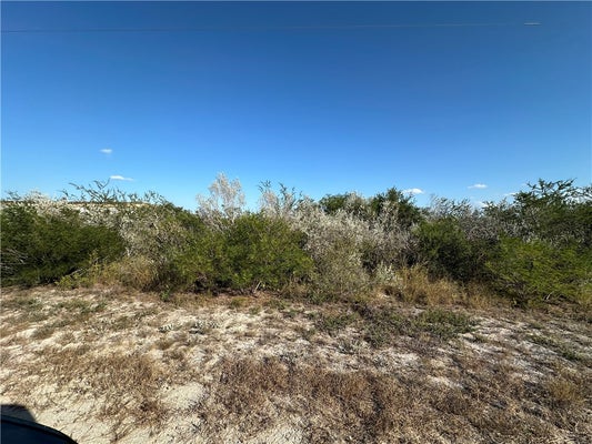 COUNTY RD 160, ORANGE GROVE, TX 78372 - Image 6bb28736c8a4d842792b53cd7523bde6/3657577902