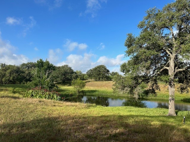 View Goliad, TX 77963 land