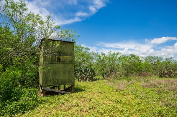 FARM TO MARKET RD 3249, REALITOS, TX 78376 - Image 8026f8db1f57e1f9e688bf6aaeecd3df/975071232