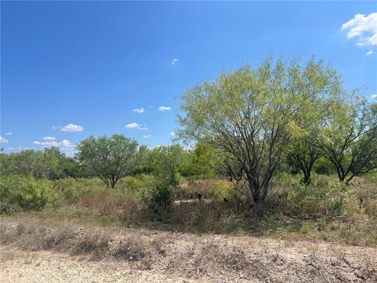 750 CR 200, THREE RIVERS, TX 78071 - Image a39b05e8f0671838ca4e9260f78f3dc4/1115055085
