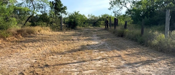 3463 COUNTY RD 332, SAN DIEGO, TX 78384 - Image af5f2a069d64a5a404cf28854d2c9b0e/3963152117