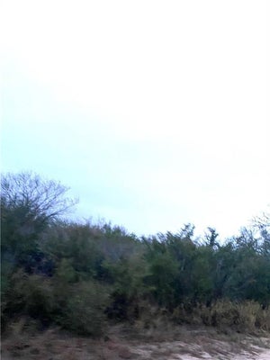 7039 FARM TO MARKET RD 1329, ALICE, TX 78332 - Image afe7a532dc4e57fa83c40b9b2f2dc6b6/2210670339