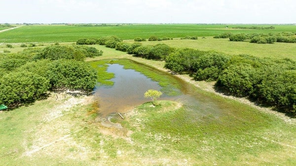 000 GIN ROAD, BAYSIDE, TX 78340 - Image c4d8ca2b2bb33907e6ee065d49a2effa/1108067949