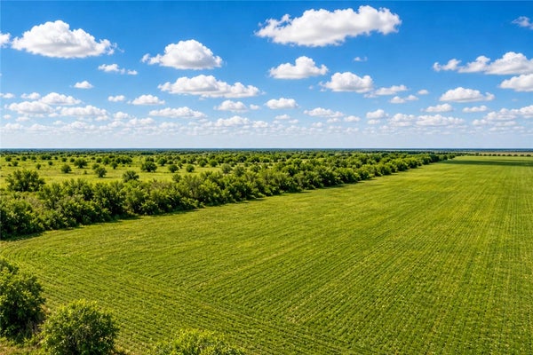 COUNTY RD 48, ROBSTOWN, TX 78380 - Image c846915deaee69aee6aeccc0a3f90883/802007405