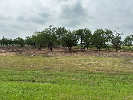00 E HWY 44 X CR 341 HIGHWAY, ALICE, TX 78332 - Image c8fef22ef334a8def0e3b3a076eac9bb/65699215
