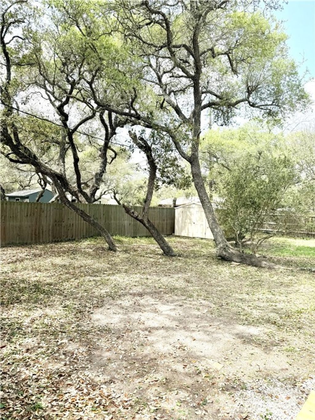 listing image 26
