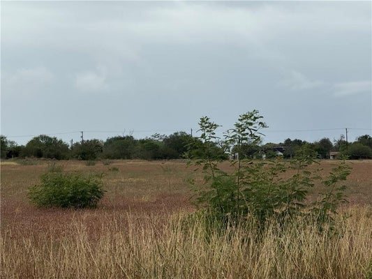 TBA #2 FRENCH STREET, ALICE, TX 78332 - Image ed04923fab3a6808609ecbbbbffbbf37/2347198741