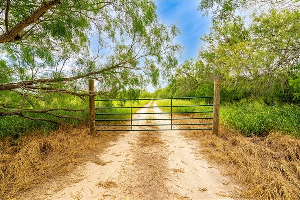 229 E FM 628, RIVIERA, TX 78379 - Image f5b47b4a6085d0ffb84b7cbee8ea933c/2981285518