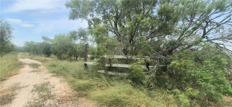 Tiny photo for 4886 County Rd 28, Robstown, TX 78380 (MLS # 481847)