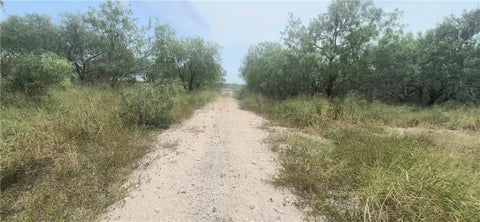 Tiny photo for 4886 County Rd 28, Robstown, TX 78380 (MLS # 481847)