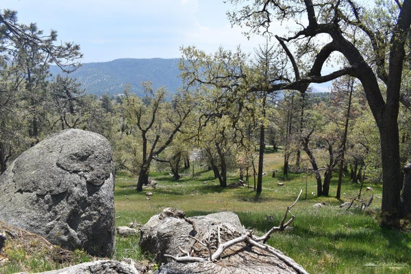 29451 SURREY WAY, TEHACHAPI, CA 93561 - Image 40cf03abb79ed432923be68e5951e9c4/3491600568
