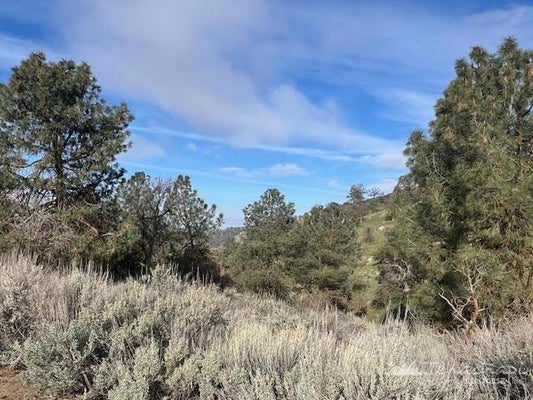 0 BUCKTHORNE COURT, TEHACHAPI, CA 93561 - Image 4d8a2e8d3c4e2eb8b27ad4c30fecdc74/192584078