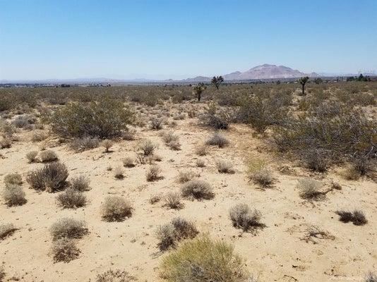 0 ARROYO AVENUE, MOJAVE, CA 93501 - Image be9db09d2cef6bdb0e67778488e460b9/3117607079